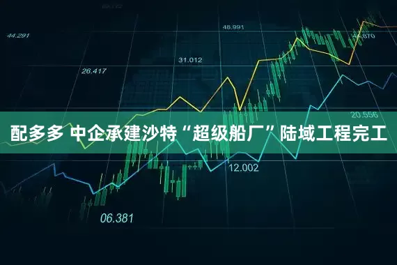 配多多 中企承建沙特“超级船厂”陆域工程完工